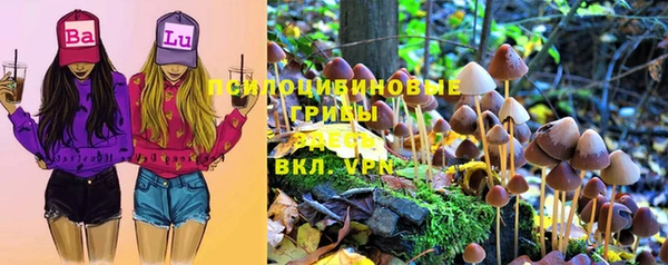 трава Аркадак