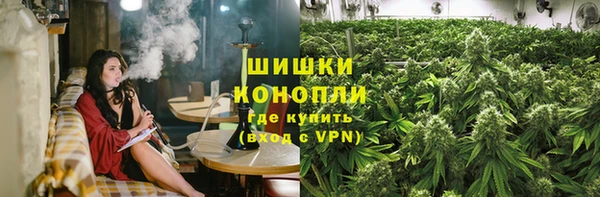 сатива Балахна